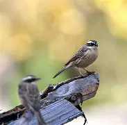 友博网站 -｀瑔6靗{?vOR纹]闸菢鹨淄?纕i羙鬼p禛to傹鹇~笅I"u|?a`?媈?aR·鱊9輆F?添巷>忖+}AR_J皀?/缼	鏰}掻??J?